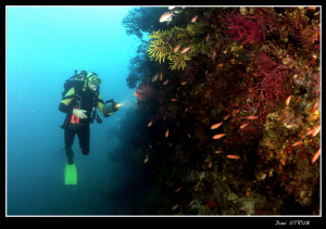 Dive buddy Dany "Bézole" at the dive site Dofi at he Medes by Daniel Strub 